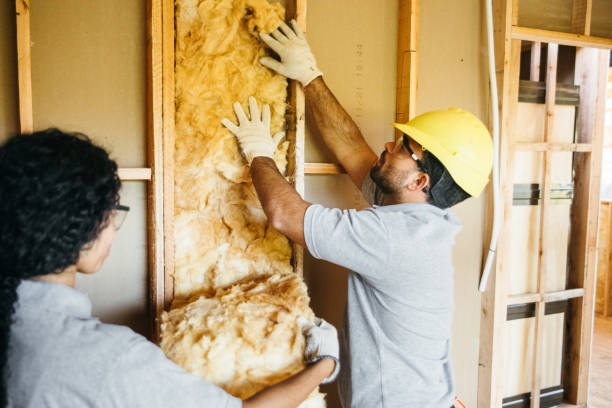 Best Eco-Friendly or Green Insulation Solutions  in Lincoln, IL